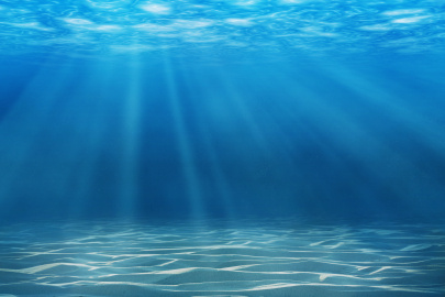 Alt Text: Rays of sunlight beam through an underwater view of the ocean.
